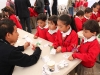 IMG_4902 copy